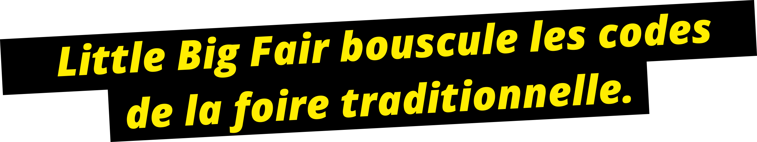 foire de lyon
