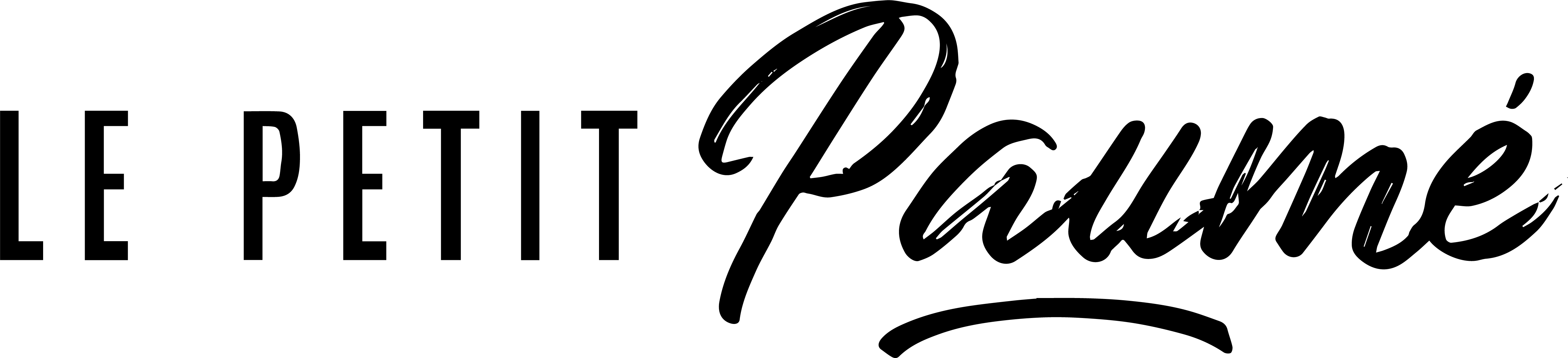 le petit paumé