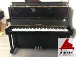 bietry musique
